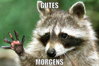 gutes morgens