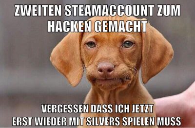 ZWEITEN STEAMACCOUNT ZUM HACKEN GEMACHT VERGESSEN DASS ICH JETZT ERST WIEDER MIT SILVERS SPIELEN MUSS