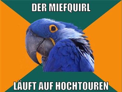 der miefquirl läuft auf hochtouren