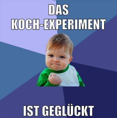 das koch-experiment ist geglückt