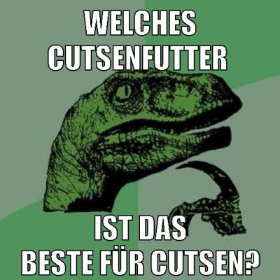 welches cutsenfutter ist das beste für cutsen?