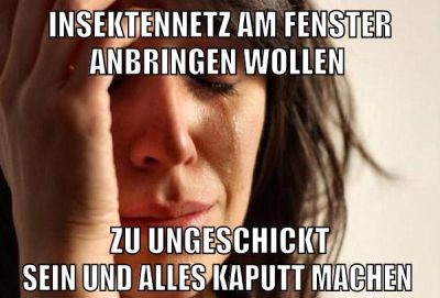 insektennetz am fenster anbringen wollen zu ungeschickt sein und alles kaputt machen