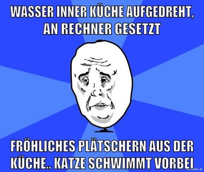 wasser inner küche aufgedreht, an rechner gesetzt fröhliches plätschern aus der küche.. katze schwimmt vorbei