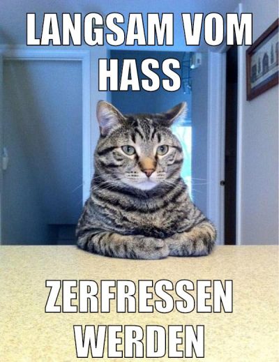 langsam vom hass zerfressen werden