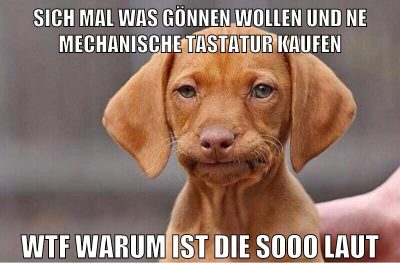 sich mal was gönnen wollen und ne mechanische tastatur kaufen wtf warum ist die sooo laut