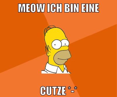 meow ich bin eine cutze *-*