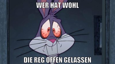 wer hat wohl die reg offen gelassen