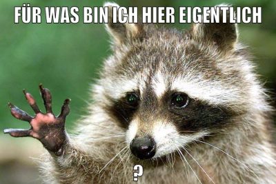 für was bin ich hier eigentlich ?