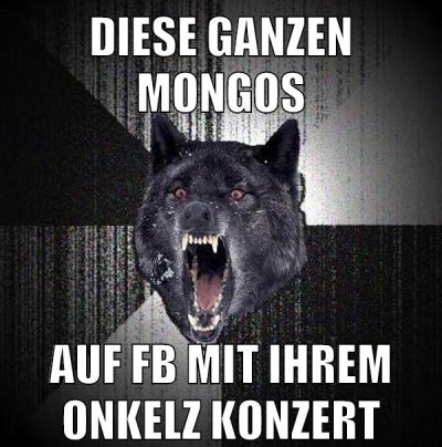 diese ganzen mongos auf fb mit ihrem Onkelz konzert