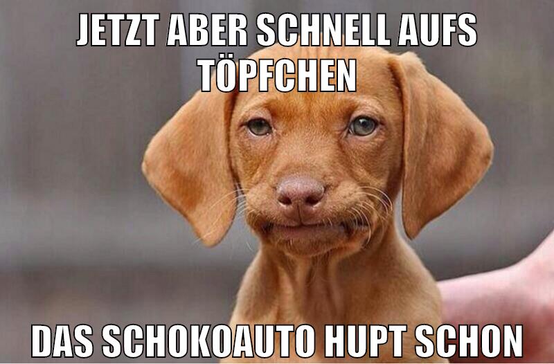 jetzt aber schnell aufs töpfchen das schokoauto hupt schon