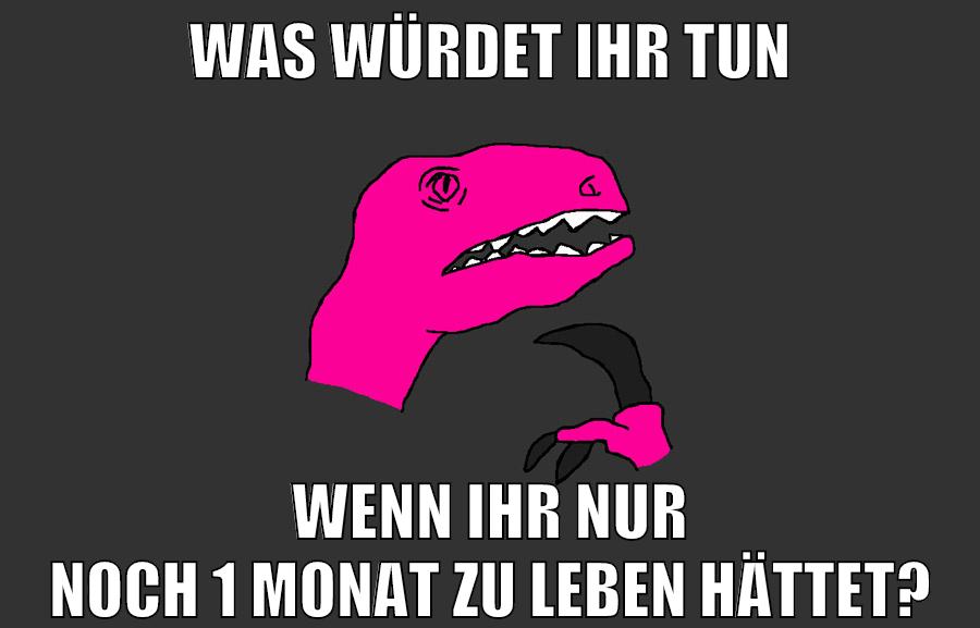 was würdet ihr tun wenn ihr nur noch 1 monat zu leben hättet?