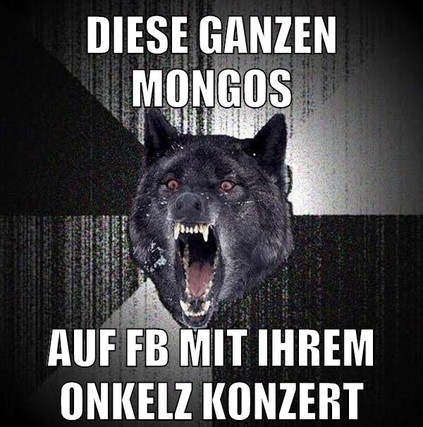 diese ganzen mongos auf fb mit ihrem Onkelz konzert