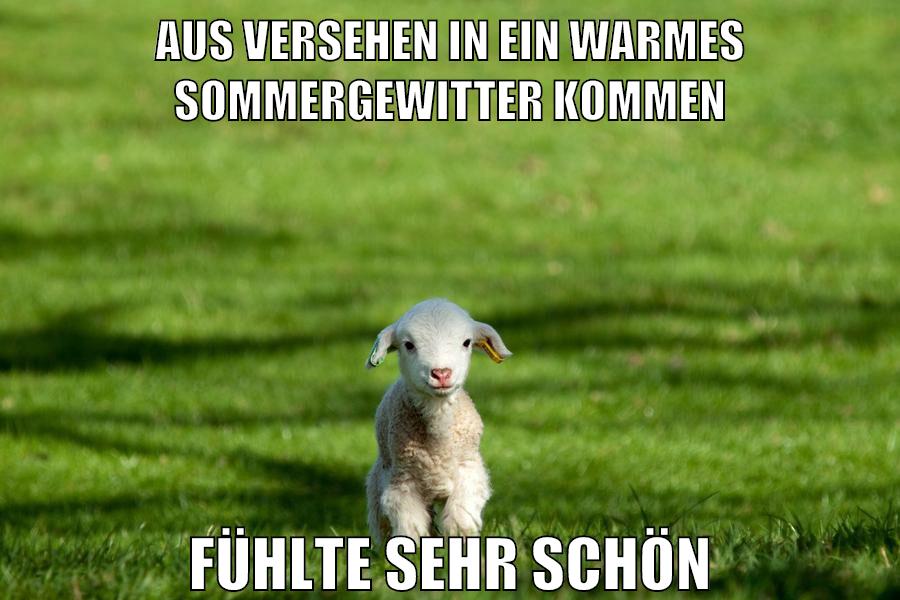 aus versehen in ein warmes sommergewitter kommen fühlte sehr schön