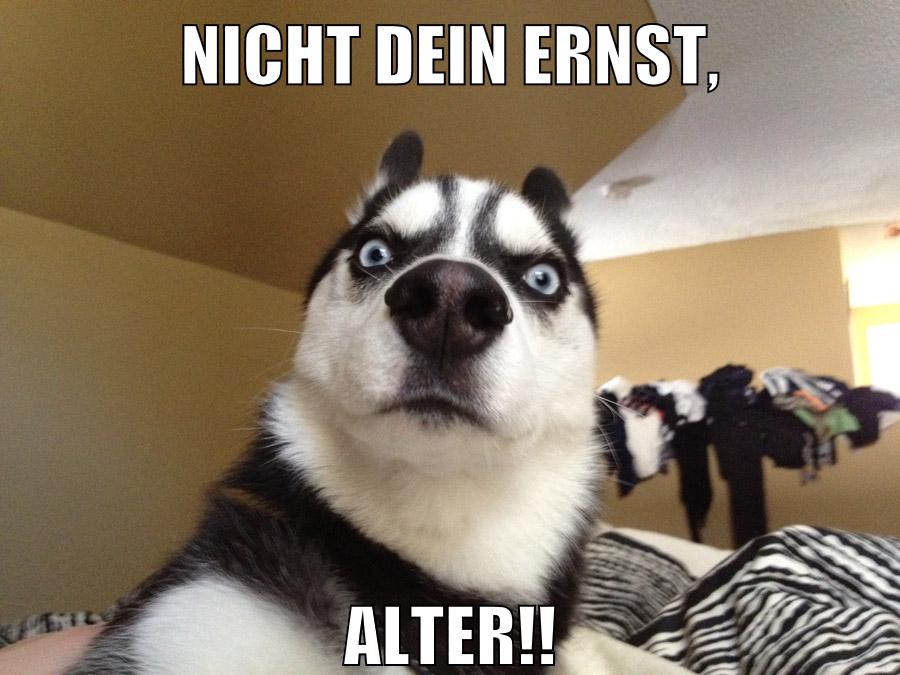 Ernst