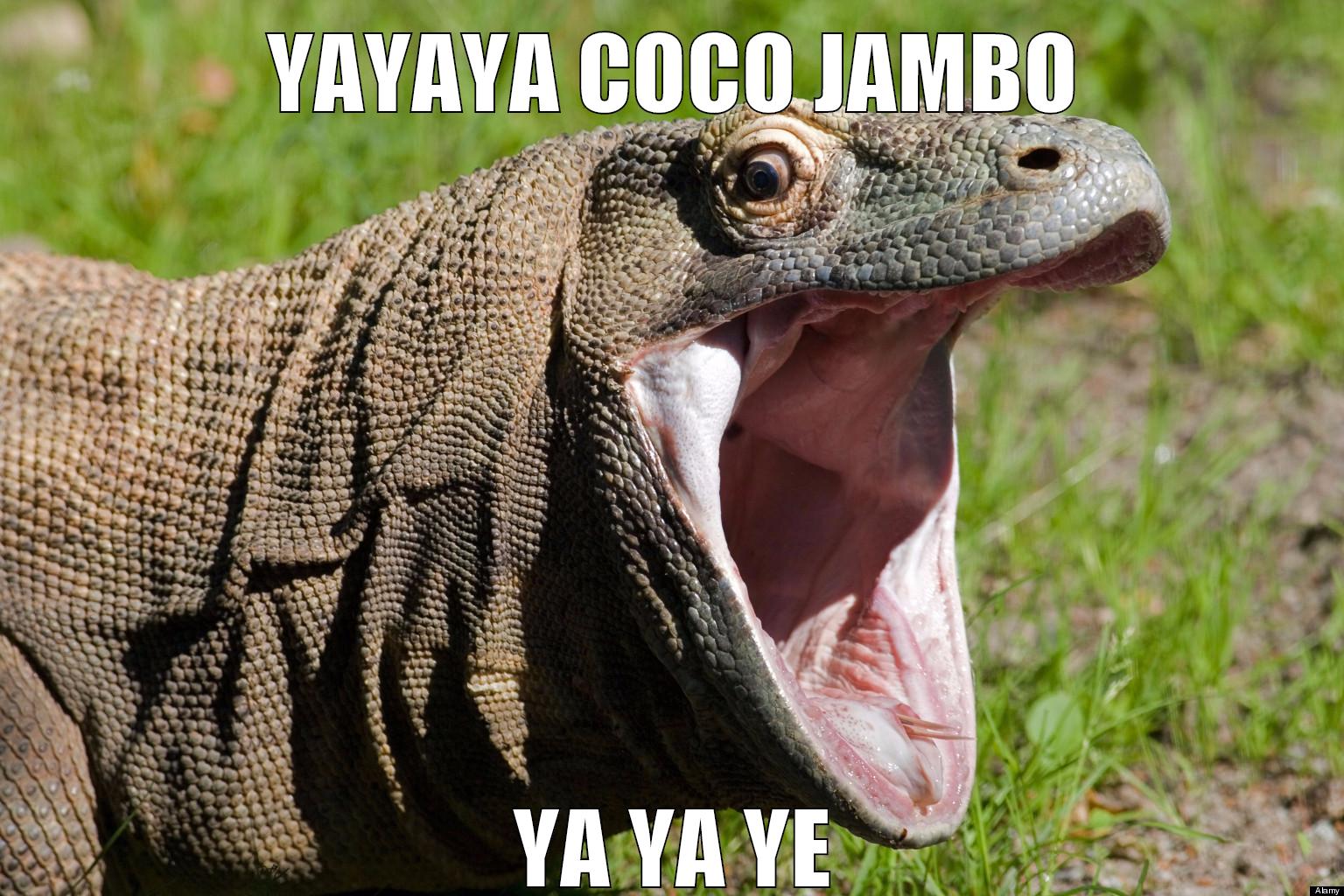 yayaya coco jambo ya ya ye