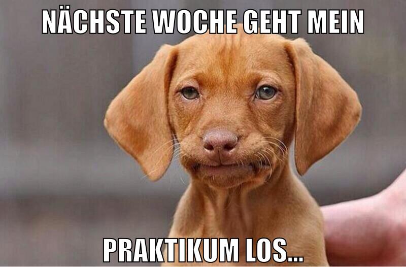 Nächste woche geht mein praktikum los...