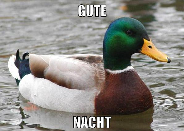 gute nacht