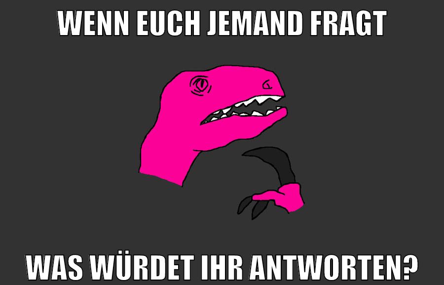 wenn euch jemand fragt was würdet ihr antworten?