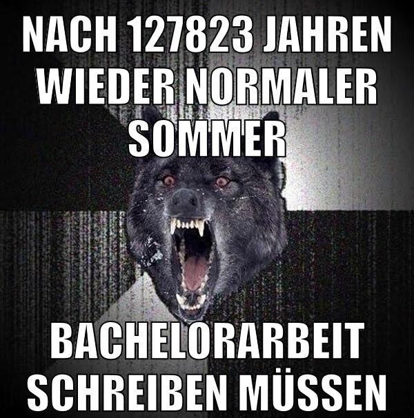 nach 127823 jahren wieder normaler sommer bachelorarbeit schreiben müssen