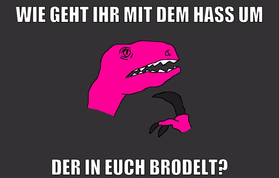 wie geht ihr mit dem hass um der in euch brodelt?