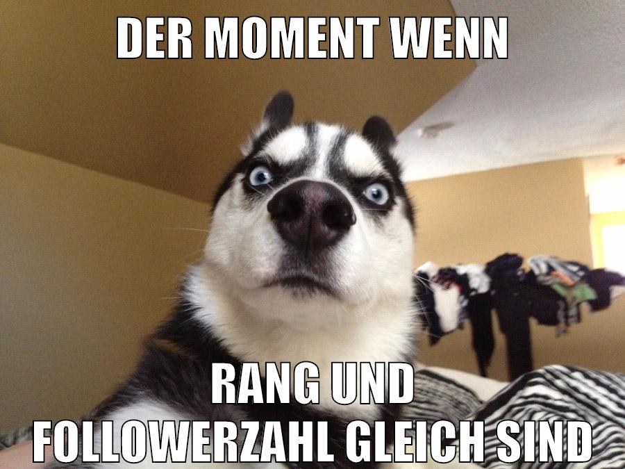 der moment wenn rang und followerzahl gleich sind