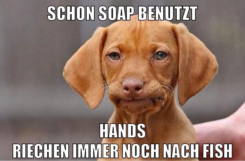 schon soap benutzt hands riechen immer noch nach fish