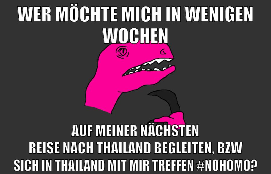wer möchte mich in wenigen wochen auf meiner nächsten reise nach thailand begleiten, bzw sich in thailand mit mir treffen #nohomo?