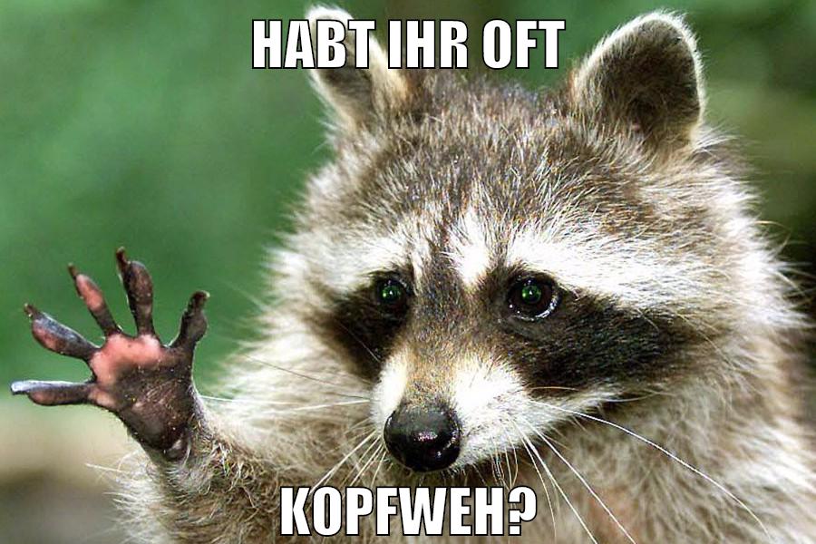 HABT IHR OFT KOPFWEH?