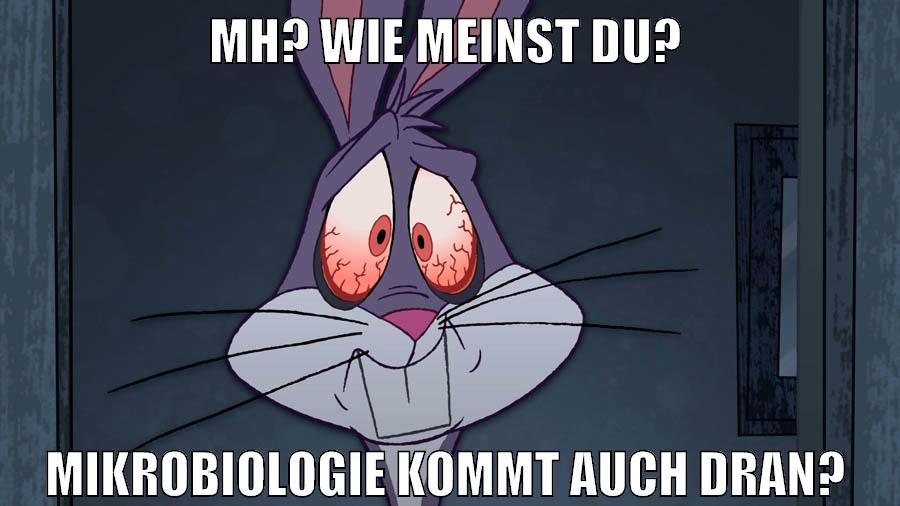 Integriete1