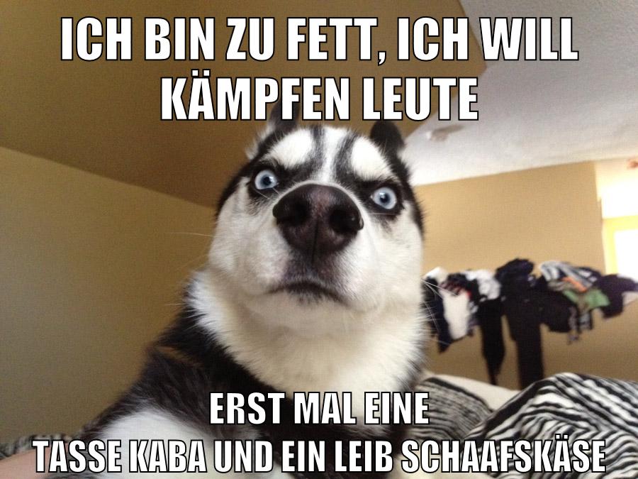 ich bin zu fett, ich will kämpfen leute erst mal eine tasse kaba und ein leib schaafskäse