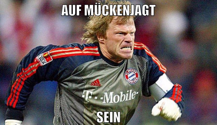 auf mückenjagt sein