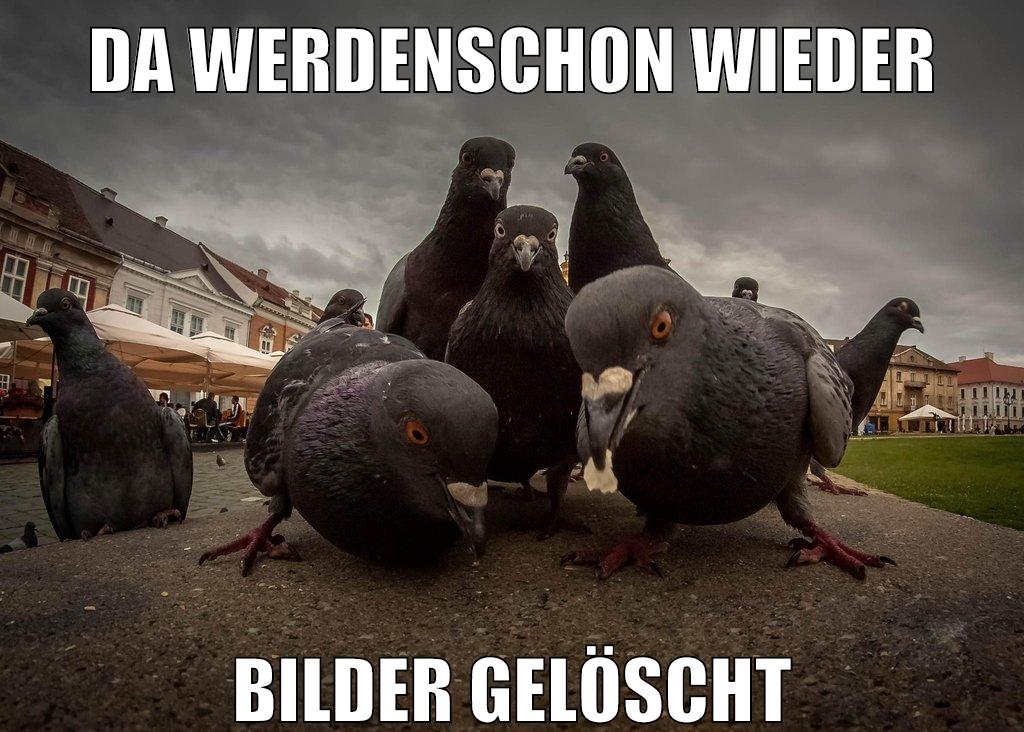 da werdenschon wieder bilder gelöscht