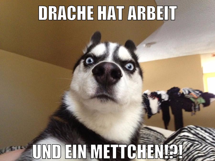 Drache hat Arbeit und ein Mettchen!?!