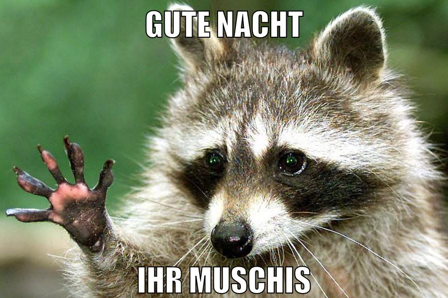 GUte nacht ihr muschis