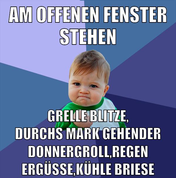 am offenen fenster stehen grelle blitze, durchs mark gehender donnergroll,regenergüsse,kühle briese
