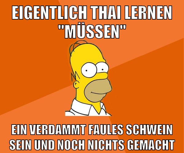 eigentlich thai lernen "müssen" ein verdammt faules schwein sein und noch nichts gemacht