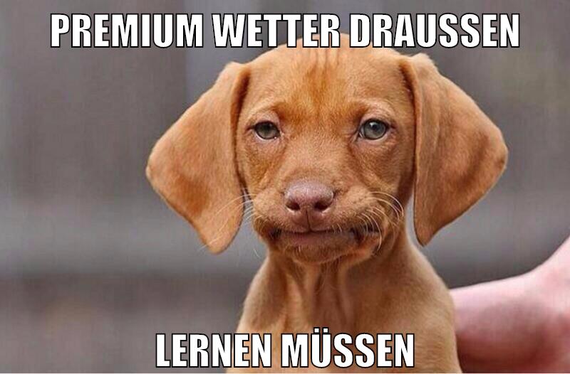Premium Wetter draußen Lernen müssen