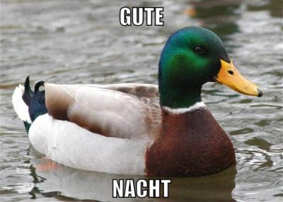 gute nacht