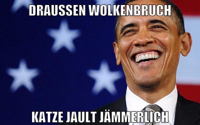 Draußen Wolkenbruch Katze jault jämmerlich