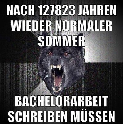 nach 127823 jahren wieder normaler sommer bachelorarbeit schreiben müssen