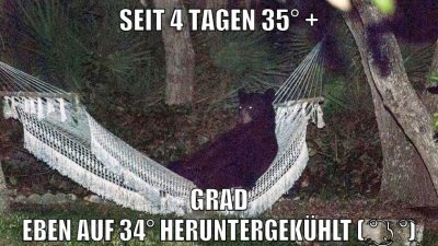 seit 4 tagen 35° + grad eben auf 34° heruntergekühlt ( ͡° ͜ʖ ͡°)