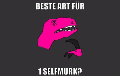 beste art für 1 selfmurk?
