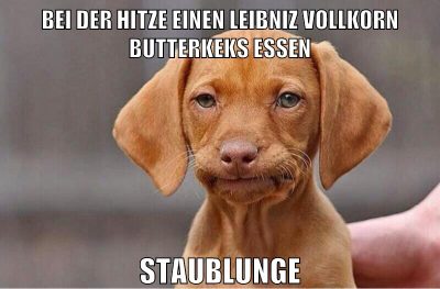 bei der hitze einen leibniz vollkorn butterkeks essen staublunge
