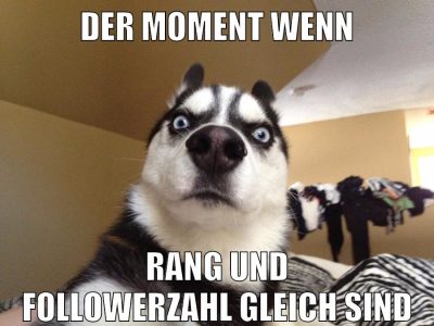 der moment wenn rang und followerzahl gleich sind