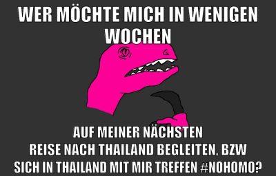 wer möchte mich in wenigen wochen auf meiner nächsten reise nach thailand begleiten, bzw sich in thailand mit mir treffen #nohomo?