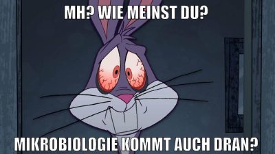 Integriete1