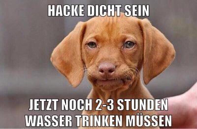 hacke dicht sein jetzt noch 2-3 stunden wasser trinken müssen