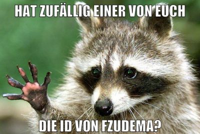 Hat zufällig einer von euch Die ID von FzudemA?