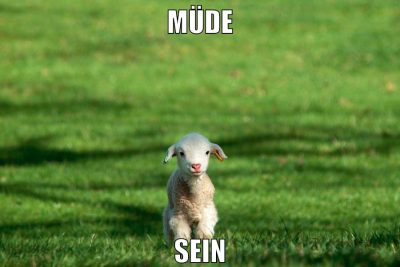 müde SEIn