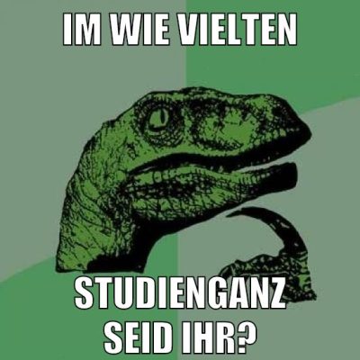 IM WIE VIELTEN STUDIENGANZ SEID IHR?